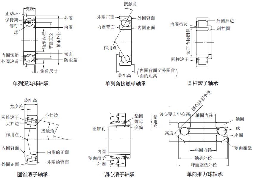 NSK滾動(dòng)軸承的類型及軸承各部分圖示.jpg